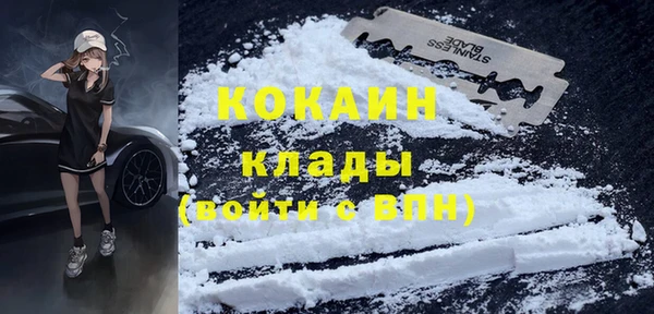 бошки Белокуриха