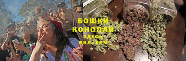 бошки Белокуриха
