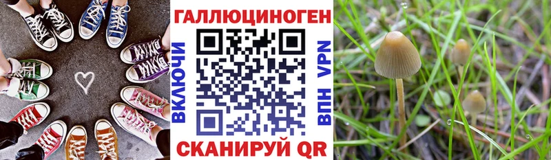 ссылка на мегу онион  Реж  Псилоцибиновые грибы прущие грибы 
